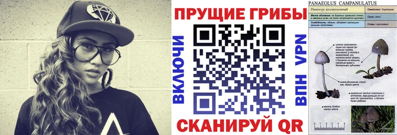blacksprut как зайти  Курганинск  Галлюциногенные грибы ЛСД 